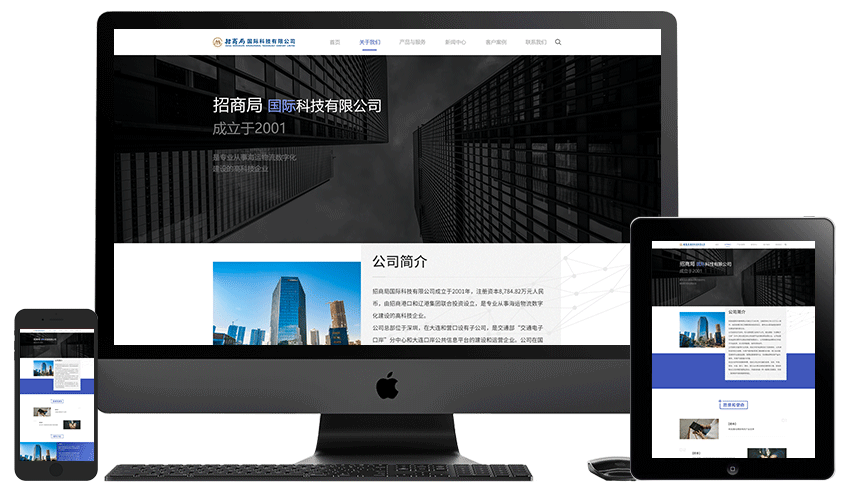 web development shanghai cmhit
